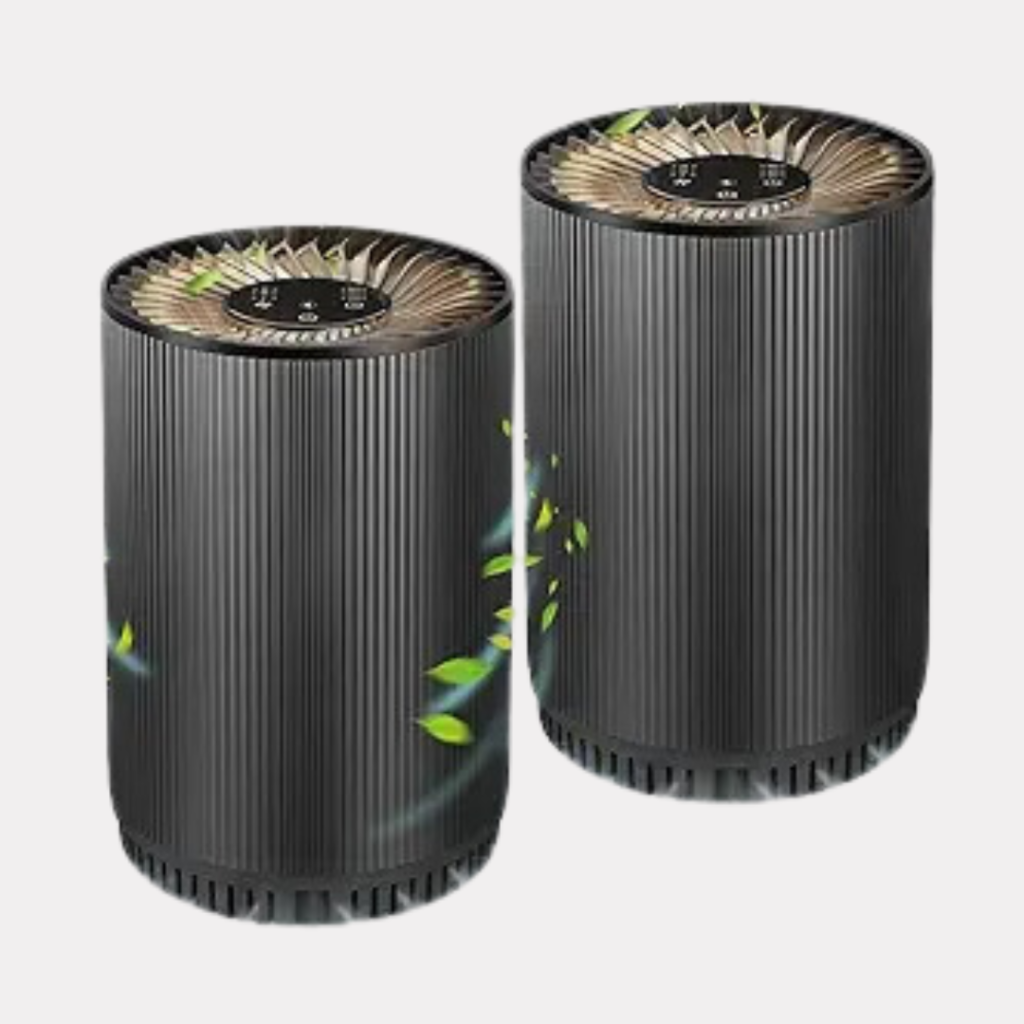 best air purifier for smoke